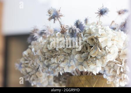 Un beau bouquet multicolore d'hortensias sur la table. Confort à la maison. Photo de haute qualité Banque D'Images