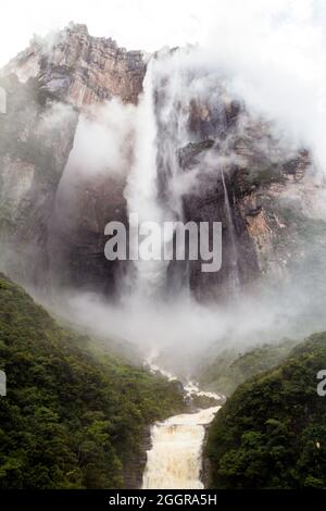 Angel Falls (Salto Angel), la plus haute cascade du monde (978 m), Venezuela Banque D'Images