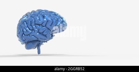 Illustration polygonale colorée du cerveau 3D sur BG Banque D'Images