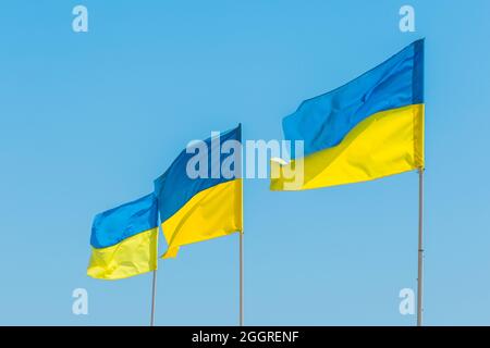 Drapeau national de l'Ukraine, symbole du patriotisme et de la nation de l'Ukraine contre le ciel bleu. Banque D'Images