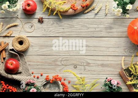 Décorations de Thanksgiving. Citrouilles Hokkaido orange, baies de rowan, pommes, cannelle et cadre faits à partir de décorations d'automne. Flat lay, vue de dessus avec copie Banque D'Images