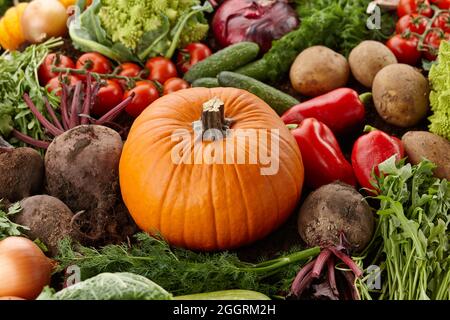 Légumes biologiques frais récoltés sur fond de terre Banque D'Images