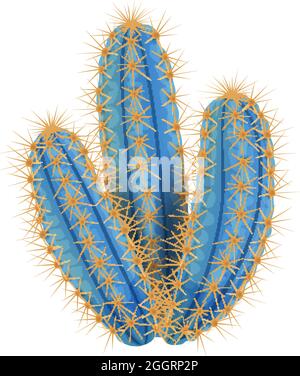 Composition de Cactus avec une image isolée de cactus pilosocereus sur une illustration de vecteur de fond vierge Illustration de Vecteur