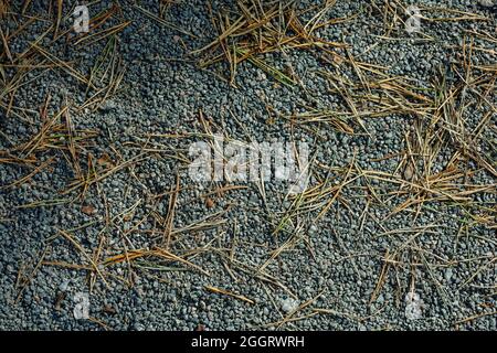 Arrière-plan, petites pierres de couleur grise sur un sol. Photo de haute qualité Banque D'Images