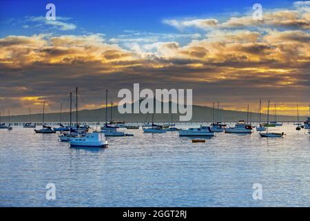 L'Île Rangitoto, Auckland, Nouvelle-Zélande Banque D'Images