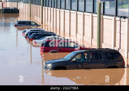 Voitures submergées sous l'eau à la suite de la tempête tropicale Ida Banque D'Images