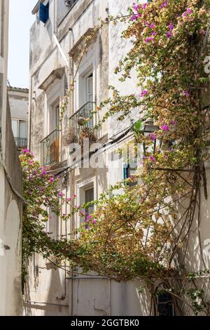 Sperlonga, Italie - août 18 2021 - les rues pittoresques de l'architecture pittoresque de Sperlonga, une ville côtière de la province de Latina, Italie, Banque D'Images