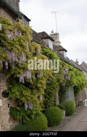 Burford, Oxfordshire, Royaume-Uni 05 13 2020 bâtiments avec wisteria à Burford, Oxfordshire, Royaume-Uni Banque D'Images