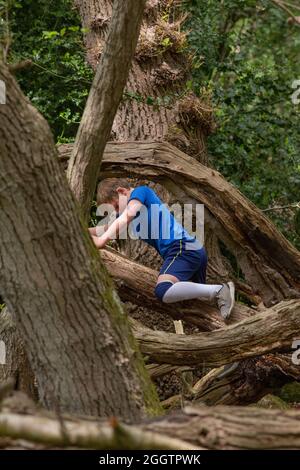 Un jeune garçon escalade, clambering, équilibrant sur un tronc d'arbre mort tombé dans la forêt. Découverte et découverte de la nature. Une activité rurale et un phys stimulant Banque D'Images