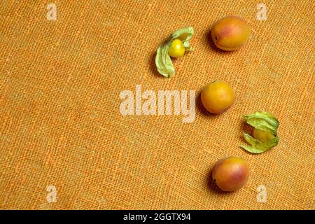 Les abricots mûrs frais et les physalis se trouvent sur un terrier de couleur orange. Alimentation saine. Vue de dessus. Gros plan. Copier l'espace. Mise au point sélective. Banque D'Images