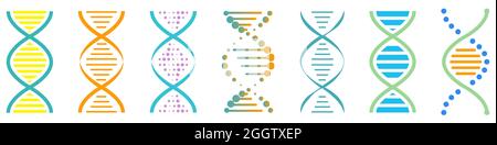 Signes d'icône d'ADN. Hélice d'ADN, chromosome, symbole de molécule isolé sur fond blanc Illustration de Vecteur