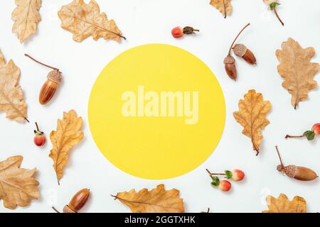 Composition minimale d'automne. Couronne d'acornes, feuilles d'aok dorées et baies rouges sur fond blanc. Maquette de cadre de forme de cercle jaune pour le texte. Automne Banque D'Images