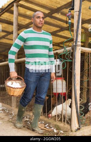 Homme souriant tient un panier d'œufs de poulet dans ses mains. Banque D'Images