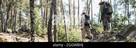 Couple multiethnique avec sacs à dos marchant sur des pierres dans la forêt, bannière Banque D'Images