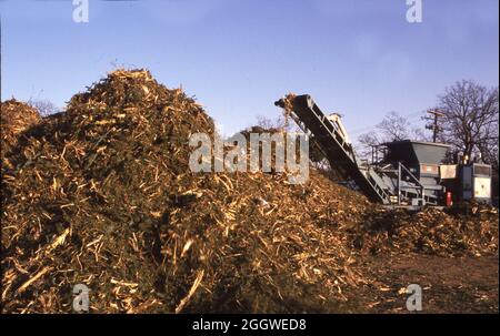 Austin Texas USA, vers 1994: Une grande pile d'arbres de Noël attendent le recyclage dans le paillis dans le cadre d'un programme pilote de la ville pour garder les arbres hors des décharges. ©Bob Daemmrich Banque D'Images