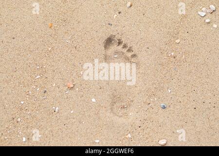 Un imprimé pied frais dans le sable le long de la côte hollandaise (Kijkduin, la Haye, pays-Bas) Banque D'Images