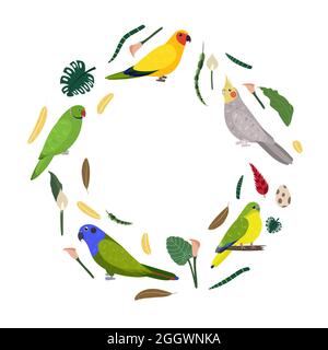 Modèle avec perroquets en cercle pour un imprimé enfant. Composition ronde d'oiseaux tropicaux rodés, pionus, neophema et soleil aratinga. Ensemble vectoriel de la vie de la jungle dans le style de dessin animé. Illustration de Vecteur