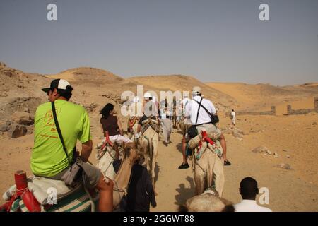 Groupe de caravanes de chameaux dans les dunes de sable du désert au Maroc, Sahara. Magnifique coucher de soleil dans des tons pastel. Arrière-plan superposé. Transport arabe traditionnel. Banque D'Images