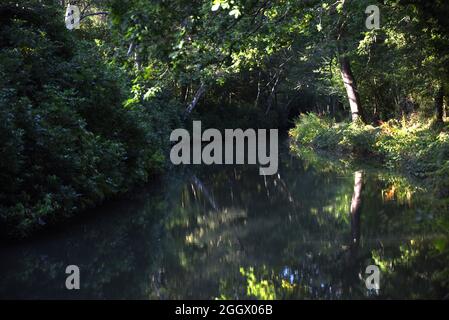 Vues d'été autour de Dogmersfield le long du magnifique canal de Basingstoke dans le Hampshire Banque D'Images