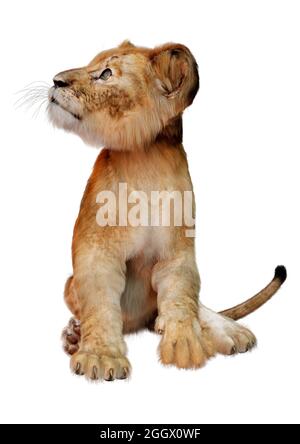 Rendu 3D d'un mignon lion cub isolé sur fond blanc Banque D'Images