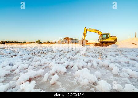 Récolte de sel de mer avec un creuseur jaune à salines à Faro, Algarve, Portugal Banque D'Images