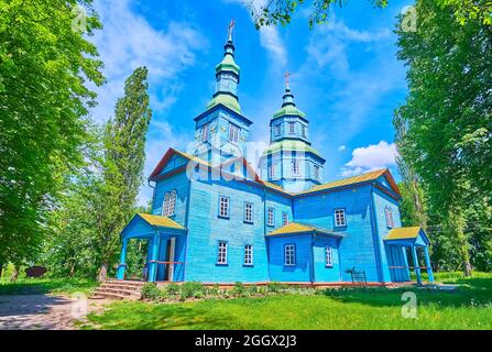 L'église pittoresque en bois bleu de Saint-Georges avec un grand clocher et des étoiles jaunes décoratives sur les murs, Pereiaslav Scansen, Ukraine Banque D'Images