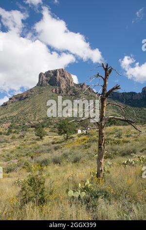 Casa Grande, Chisos Mountain Visitor Center, parc national de Big Bend, Texas, États-Unis Banque D'Images