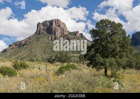 Casa Grande, Chisos Mountain Visitor Center, parc national de Big Bend, Texas, États-Unis Banque D'Images