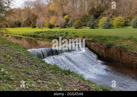 Déversoir qui coule rapidement le long de la rivière Skell avec des arbustes et des arbres en arrière-plan, parc royal Studley, Ripon, North Yorkshire, Angleterre,ROYAUME-UNI. Banque D'Images