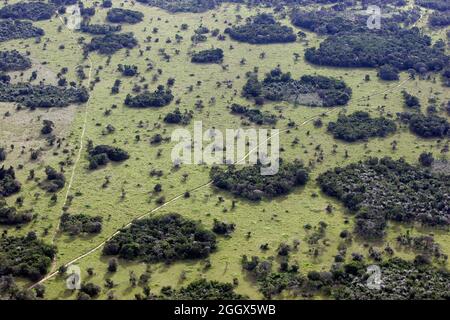 Vue aérienne de la forêt tropicale amazonienne - route privée à l'intérieur d'un grand domaine traverse des parcelles de zones intactes et déboisées qui s'entrecroise. Banque D'Images