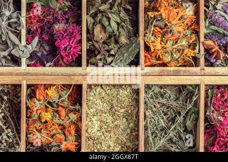 Assortiment d'herbes de thé séchées dans une boîte à thé en bois de gros plan. Calendula, menthe, camomille, hysope anis, monarda didyma, bois de millepertuis, thym, feuilles de sauge Banque D'Images