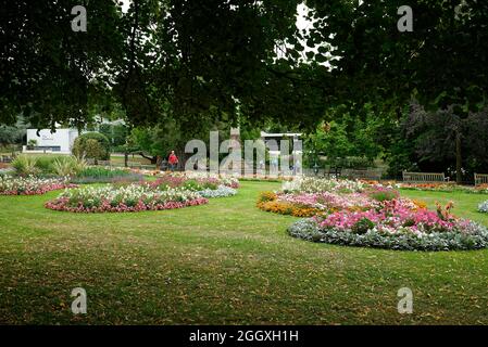 Plantation de fleurs dans le jardin public en été. Arrangements de fleurs colorées dans les lits en Angleterre. Banque D'Images