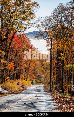 Feuilles de feuillage orange rouge colorées en automne sur la route de Fawn Ridge à Wintergreen en Virginie avec route asphaltée pavée point de vue Banque D'Images