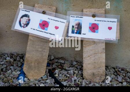 Coquelicots sur croix en bois, hommage aux soldats tués à la guerre, Arromanche, Calvados, région normande, Nord-Ouest de la France Banque D'Images