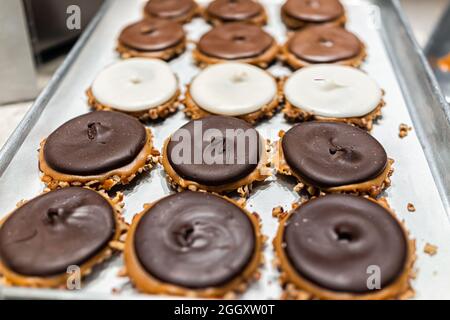 Biscuits de tortue à tête de fard au caramel avec des couches de chocolat noir blanc et de chocolat au lait et un dessert de noix de pécan croquantes hachées sur présentation au détail dans le boulanger Banque D'Images