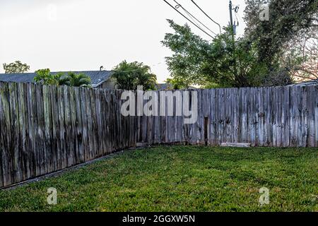 Coin de clôture en bois privée avec moule noir dans la cour avant ou arrière-cour avec pelouse en herbe verte au coucher du soleil à Naples, Floride Banque D'Images