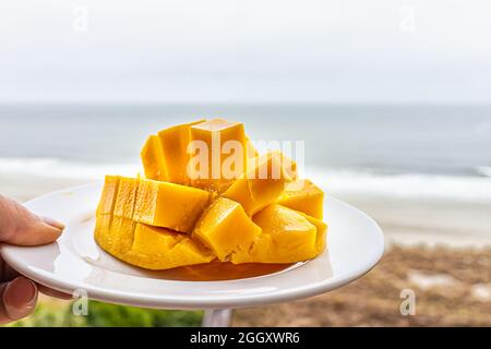 Vue rapprochée de la main tenant une assiette blanche avec une coupe en cubes de demi-cubes de mangues juteuses fraîches et mûres, avec paysage en arrière-plan Banque D'Images