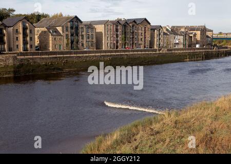 Le Lune Tidal Bore passant par St George's Quay à Lancaster, autrefois le cœur du port de Lancaster Banque D'Images