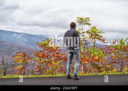 Le staghorn sumac plante des arbres avec des feuilles de feuillage d'automne rouges et l'homme sur la vue dans Blue Ridge appalachian Mountains parkway sur le sommet avec la route Banque D'Images