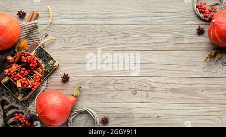 Décorations de Thanksgiving. Citrouilles Hokkaido orange, baies de rowan, pommes, cannelle et cadre faits à partir de décorations d'automne. Flat lay, vue de dessus avec copie Banque D'Images