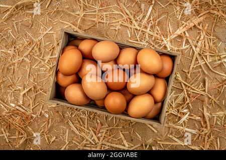 Une petite caisse d'œufs de poule bruns fraîchement recueillis repose sur une table de grange recouverte de toile de jute et de foin. Banque D'Images