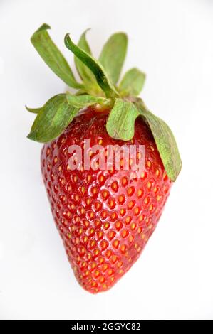 Les fraises les plus sucrées et les plus belles dans les baies rouges, isolées sur fond blanc Banque D'Images