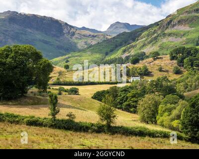 En regardant vers Bow est tombé de Little Langdale, Lake District, Royaume-Uni. Banque D'Images