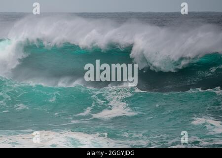 Une couleur vert turquoise en colère boucle massive d'une vague alors qu'il roule des barils le long de l'océan. La brume blanche et la mousse de la vague sont mousseuse Banque D'Images