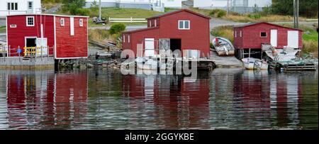 Sauvetage, T.-N.-L., Canada-septembre 2021 : plusieurs hangars de stockage de pêche rouge vintage avec bordure blanche, petites fenêtres et portes au bord de l'eau. Banque D'Images