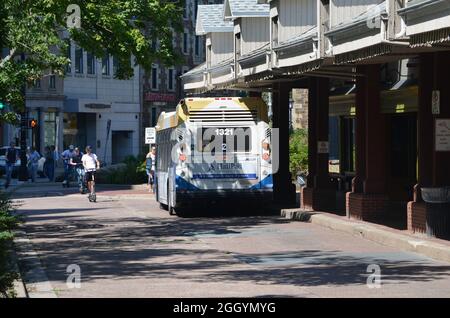Halifax Transit route no 2 habitation d'autobus au terminal de la rue Water, au centre-ville de Halifax (Nouvelle-Écosse) (août 2021) Banque D'Images