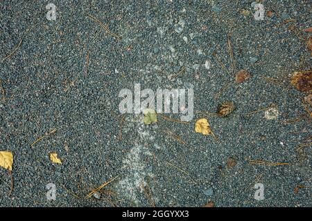 Arrière-plan, petites pierres de couleur grise sur un sol. Photo de haute qualité Banque D'Images