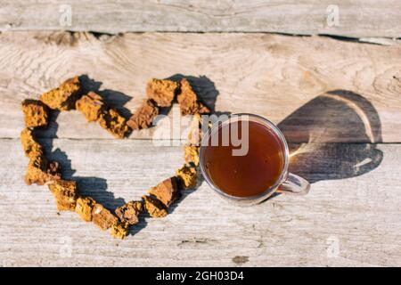 Thé de chaga - un antioxydant fort, stimule le système immunitaire. Sain pur naturel. Champignon de chaga sauvage, préparation de thé, café et remède à base de plantes Banque D'Images