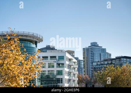 Bâtiments à Tacoma, Washington avec arbres contre le ciel bleu clair Banque D'Images