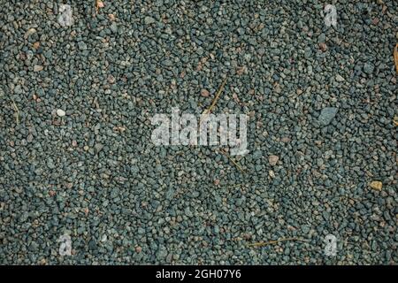 Arrière-plan, petites pierres de couleur grise sur un sol. Photo de haute qualité Banque D'Images